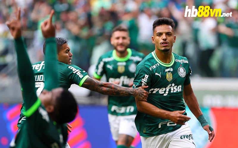 Soi keo Palmeiras vs Fortaleza